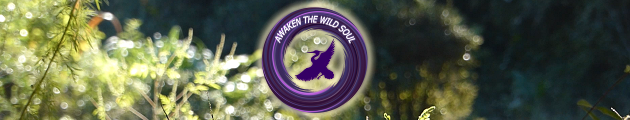 Awaken the Wild Soul