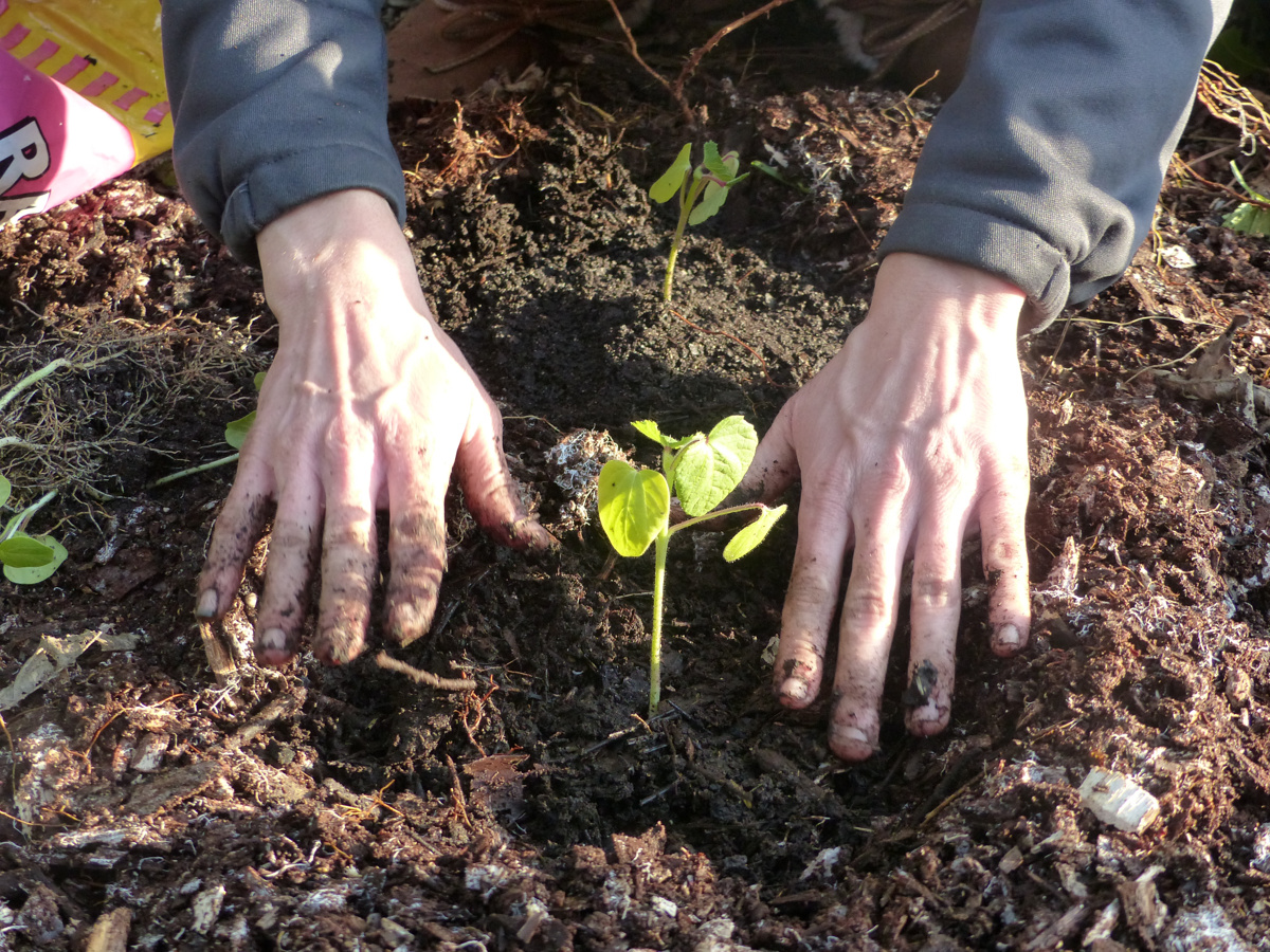What does that mean… Permaculture? Awaken the Wild Soul